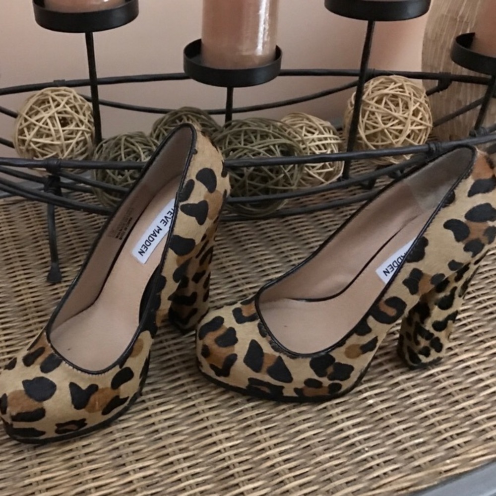 Cheetah Hells!
